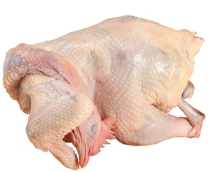 新鲜冷冻老母鸡 蛋鸡 白条土鸡 新鲜月子熬汤鸡20斤江浙沪皖包邮