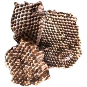 野生马蜂窝天然野蜂窝露蜂房黄蜂窝山蜂房老蜂巢中药材500g