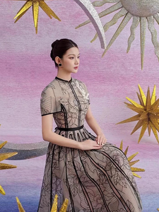 越南小众2024新款高级感立体花朵装饰透视网纱刺绣时尚气质连衣裙