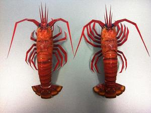 儿童手工折纸diy拼装立体3d纸质模型制作玩具 仿真淡水鱼小龙虾