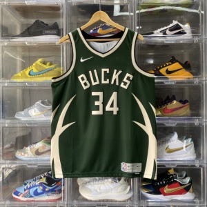 【堂堂】nike nba 密尔沃基雄鹿 奖励版 字母哥 sw 球迷版球衣