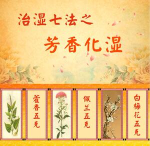 包邮 养生堂 芳香化湿茶 藿香5克 佩兰5克 白梅花5克 20份装