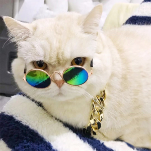 宠物小眼镜圆形宠物墨镜金属镜框宠物墨镜小猫小狗潮流装饰眼镜