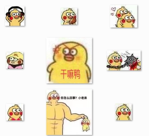小黄鸭小鹦鹉表情包245个表情不断更新表情包搞笑卖萌包邮