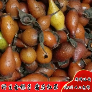 金樱子野生新鲜500g现摘泡酒中草药料刺梨糖罐糖粒子金英子山石榴