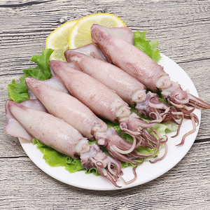 御鲜轩 满籽小海兔全籽籽乌250g新鲜冷冻笔管鱼海鲜水产火锅烧烤