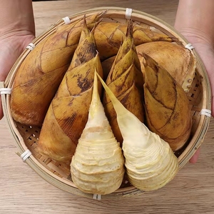 现挖冬笋新鲜笋子石台野生去根安徽特产竹笋5斤包邮带壳时令蔬菜