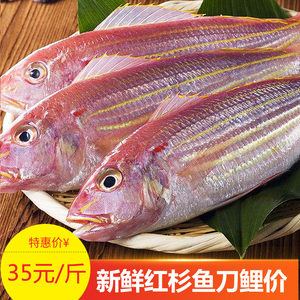 阳江产新鲜海钓深海红杉鱼一夜埕金线鱼刀鲤鱼海味海鲜水产