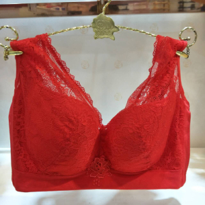 六月玫瑰抹胸内衣