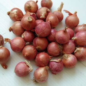 80136人付款淘宝广东红葱头去皮新鲜剥皮葱头真空包装纯手工剥皮去皮