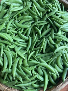 包邮新鲜甜脆豆2500克梁河特产云南特产