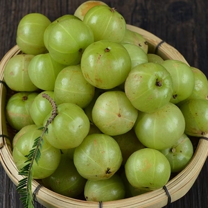 包邮橄榄滇橄榄新鲜橄榄野生小橄榄2500克水果云南特产德宏特产