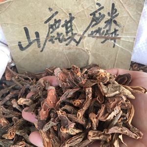 特价野生中药材山麒麟 红药500g干品包邮铁打药 泡酒材料新品