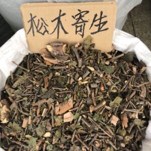 野生正品 松树寄生 马尾松寄生 松木寄生 干品500g