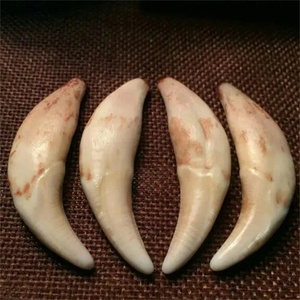 【原狼牙】原狼牙品牌,价格 - 阿里巴巴