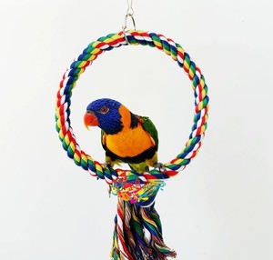 包邮 大中型鹦鹉攀爬绳索 棉绳吊绳玩具 灰机和尚折衷啃咬鸟用品