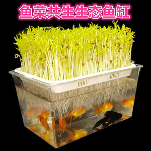 高清透明生态鱼缸鱼菜共生鱼缸水培芽苗菜水族水箱造景办公桌金鱼