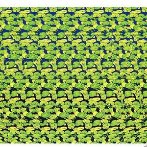 美景游戏视力裸眼护眼疲劳训练视觉3d隐藏专注力三维立体画册儿童