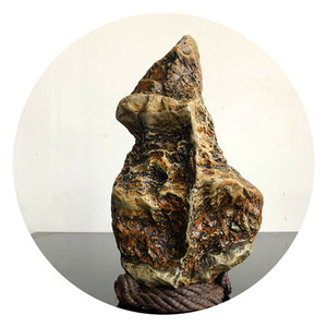 九龙壁华安玉水冲景观石观赏造型怪石头天然原石中式玄关奇石摆件