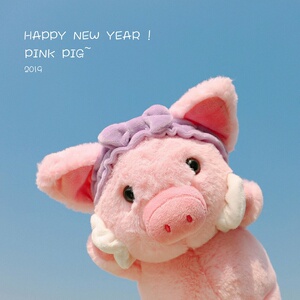 ins可爱少女心粉扑猪臭美猪猪公仔玩偶毛绒玩具生日礼物布娃娃男