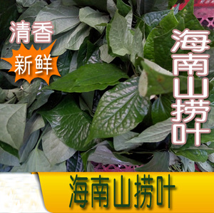 海南山捞叶 佬叶 三亚特产菜 好吃