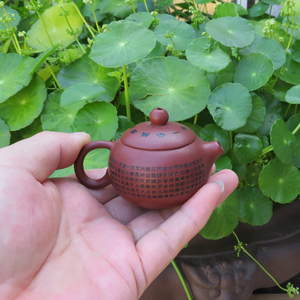 宜兴紫砂茶壶徐丹明手制紫泥心经西施壶特价包邮60cc