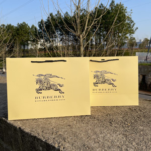 专柜 原版新款巴宝莉战马款纸袋 礼品袋 购物袋子 手提袋激凸工艺