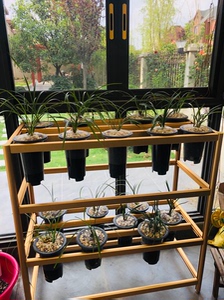 99笙箫默福禄专卖店天猫塑料兰花盆兰花专用盆加厚兰草花盆仿紫砂高