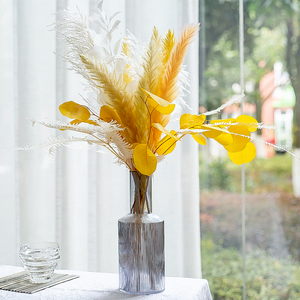 天然干花大芦苇