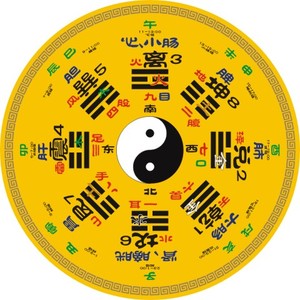 圆形黄帝内经一览图贴太极五行八卦人体分布贴图后天八卦养生贴纸