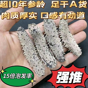 日本冲子参日本纯淡干野生海参刺参深海海参老人小孩滋补品500g