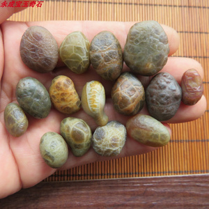 新疆早期淖毛湖龟背玛瑙原石哈密长寿筋脉石籽料颗粒完整形状各异