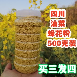 2024年春新鲜食用油菜蜂花粉农家自产四川菜花粉前列腺男500克