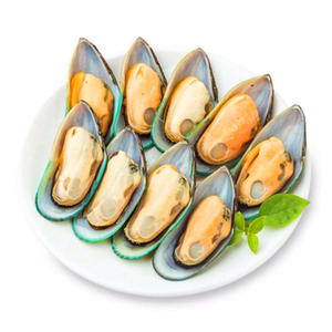 新鲜青口贝青匙海鲜水产青口大海虹翡翠贻贝半壳烧烤20装3盒包邮