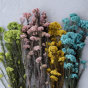 小米花 干花装饰摆设件品真花束客厅花瓶风干小清新文艺diy材料包