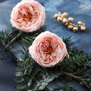 00jiaojiao2016118淘宝永生花diy材料进口奥斯汀玫瑰日本大地干花