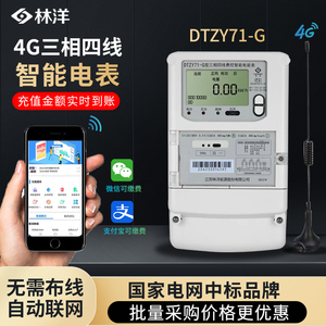 林洋DTZY三相四线智能电表多功能单相预付费峰谷平10KV高压计量表