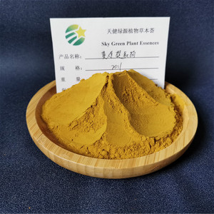 天然黄连提取物 黄连川连浓缩粉末精华  高质盐酸小檗碱黄连素97%