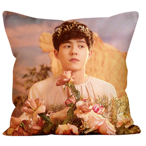 刘昊然抱枕定制做私人diy人形情侣靠枕头被子两用可印照片送男友