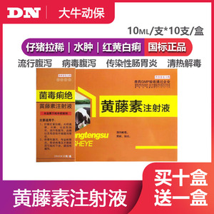 兽药兽用黄藤素注射液猪用羊用止痢药痢疾肠炎腹泻下痢拉稀黄白痢