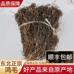 东北刨根纯正红毛中药材鸿毛新鲜晒干红鸿茅中老年养生保健泡酒料
