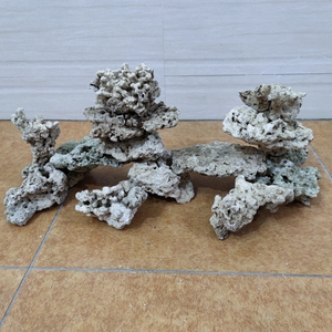 鱼缸造景石 珊瑚石死石 淡水海水珊瑚水族箱三湖慈鲷缸装饰造型石