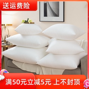 抱枕芯靠垫芯内胆芯45 50 55 60 65 70沙发靠枕方垫腰枕床头定制