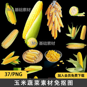 37款黑玉米晒干蔬菜海报宣传广告设计PNG透明图层免抠图素材图片