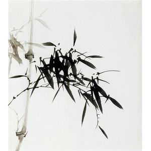 写意国画作品画心