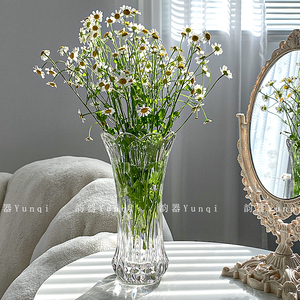 ins风简约凤尾花瓶玻璃透明水养鲜花客厅花瓶高级感居家装饰