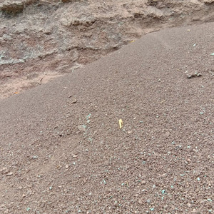 重庆金弹子营养土天然风化石 石谷子 金弹子多肉兰花专用植料酸性