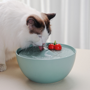 猫咪饮水机循环过滤流动水碗狗狗猫用自动喂水喝水器陶瓷宠物用品