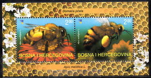 波黑2004年昆虫-蜜蜂 小全张