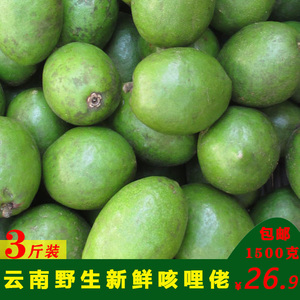 咳地佬鲜果云南特产野生咳哩佬柯子滇青果纯正野果腌泡酒3-5斤装
